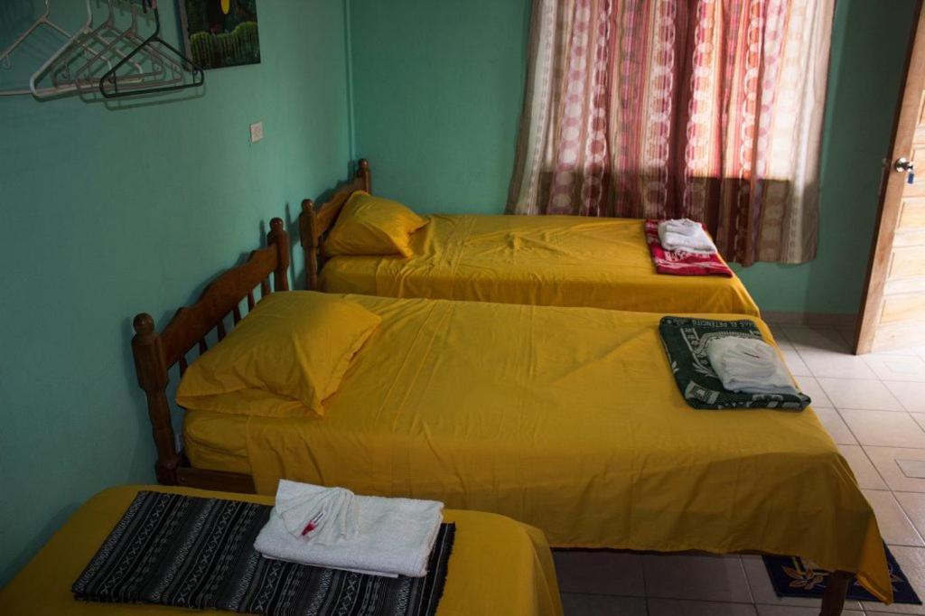 Hilltop Horizon Guesthouse 圣伊格纳西奥 外观 照片